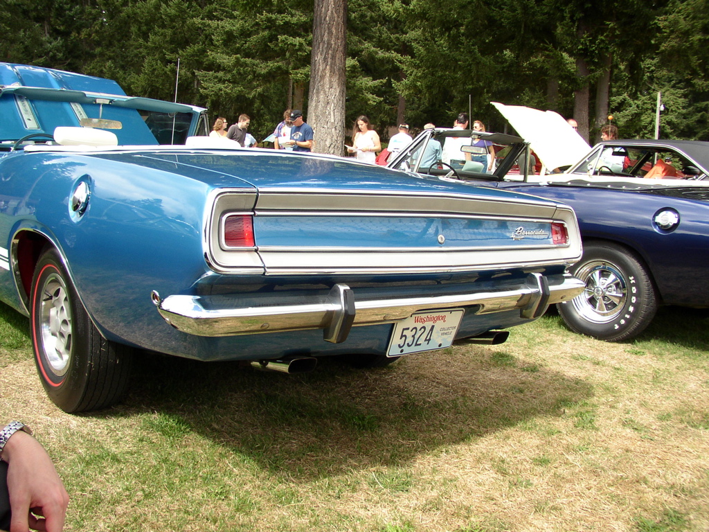 P1010154.JPG